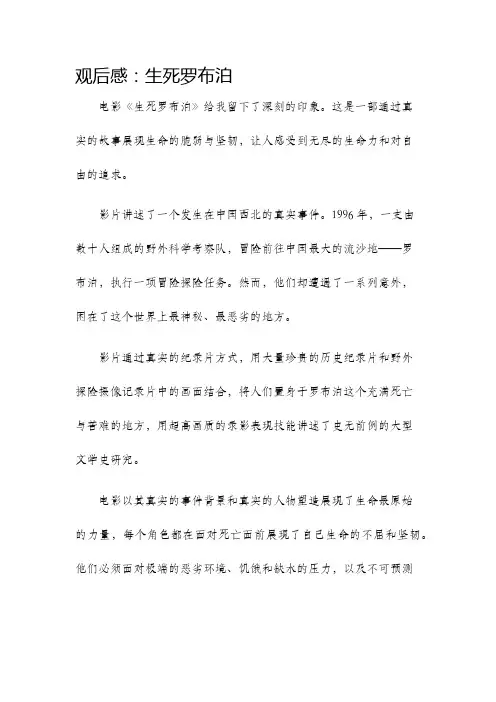 观后感生死罗布泊