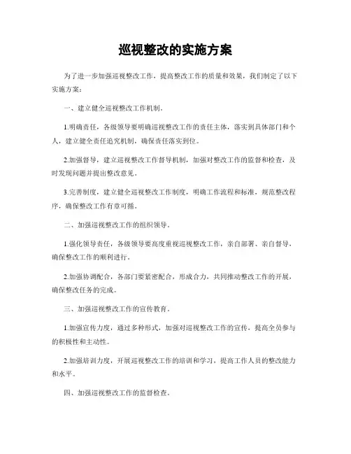 巡视整改的实施方案