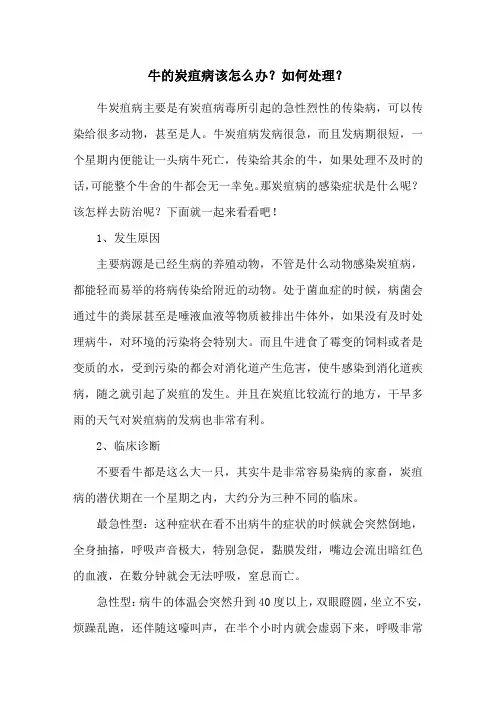 牛的炭疽病该怎么办？如何处理？