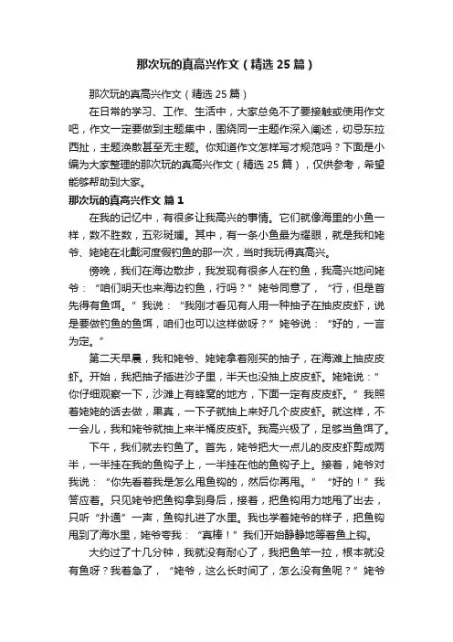 那次玩的真高兴作文（精选25篇）