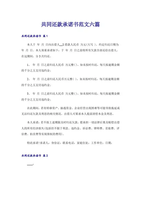 共同还款承诺书范文六篇