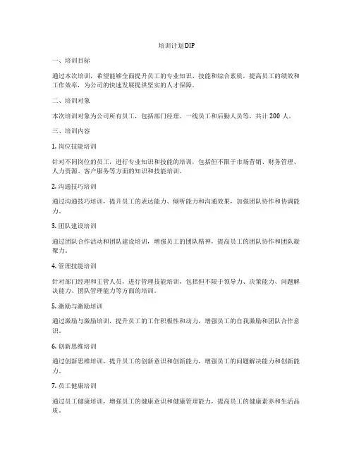 培训计划DIP