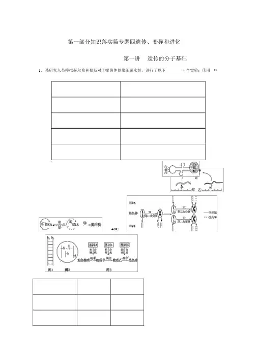 2022届高考生物课后考点复习四遗传的分子基础教案