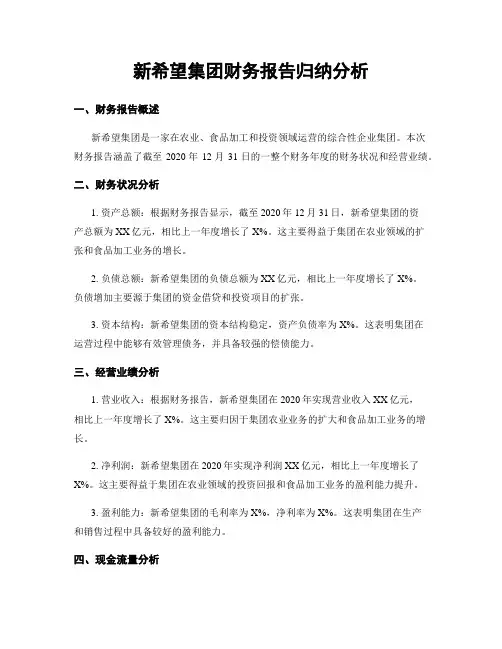 新希望集团财务报告归纳分析