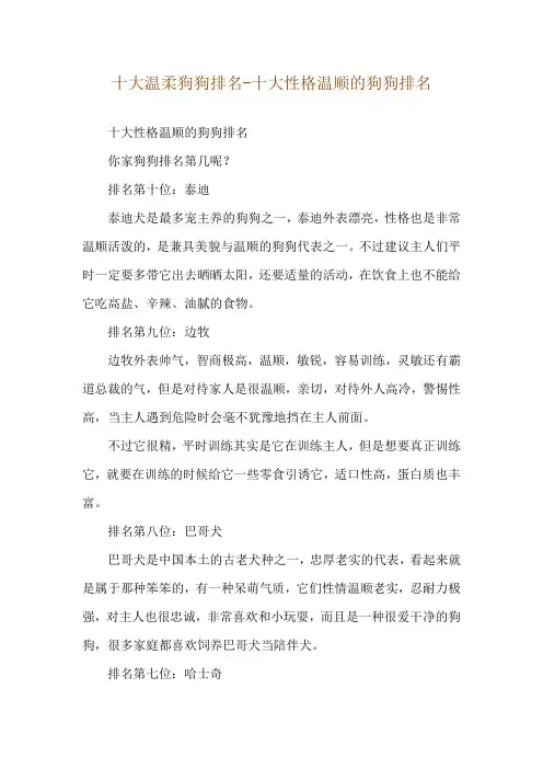 十大温柔狗狗排名-十大性格温顺的狗狗排名
