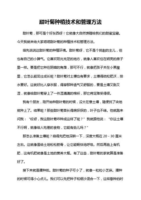 甜叶菊种植技术和管理方法