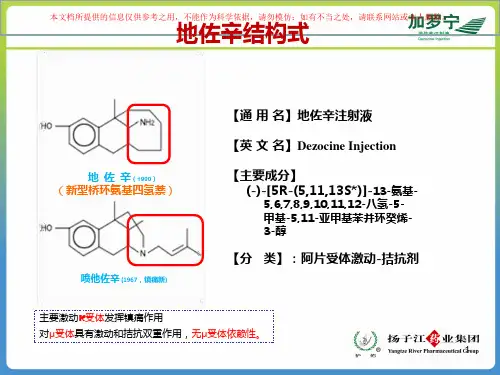 地佐辛注射液使用指南培训课件