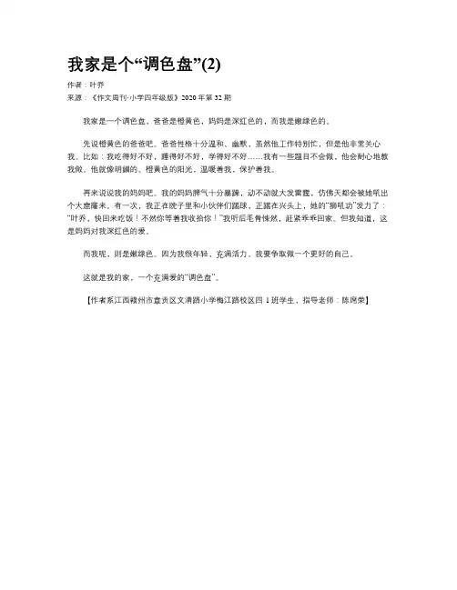 我家是个“调色盘”(2)