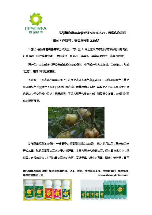 番茄(西红柿)病毒病用什么药好