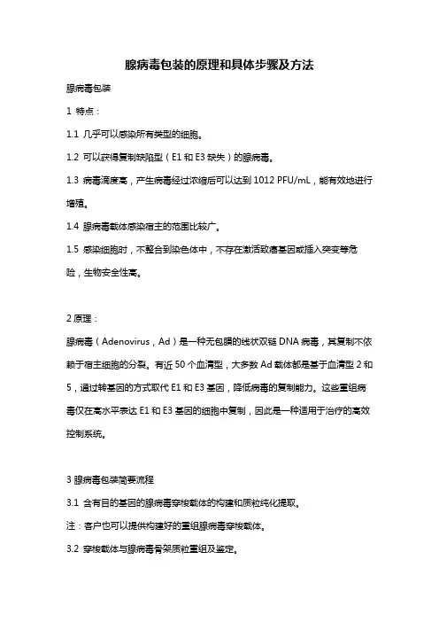 腺病毒包装的原理和具体步骤及方法
