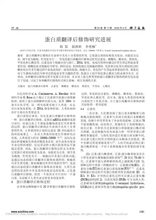 蛋白质翻译后修饰研究进展_胡笳
