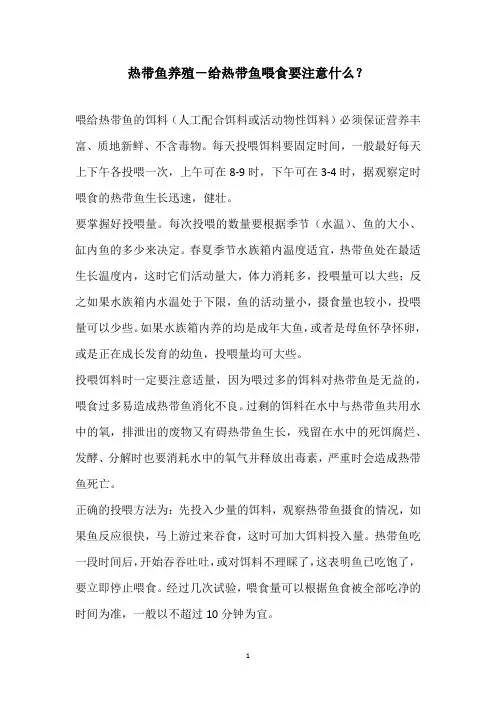 热带鱼养殖-给热带鱼喂食要注意什么？