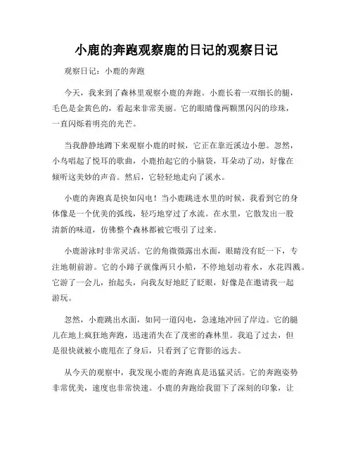 小学三年级作文小鹿的奔跑观察鹿的日记的观察日记