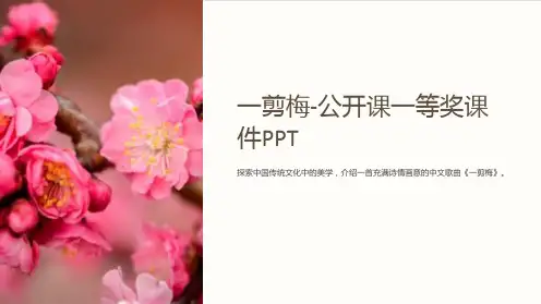 一剪梅-公开课一等奖课件