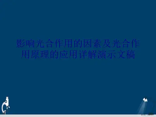 影响光合作用的因素及光合作用原理的应用详解演示文稿