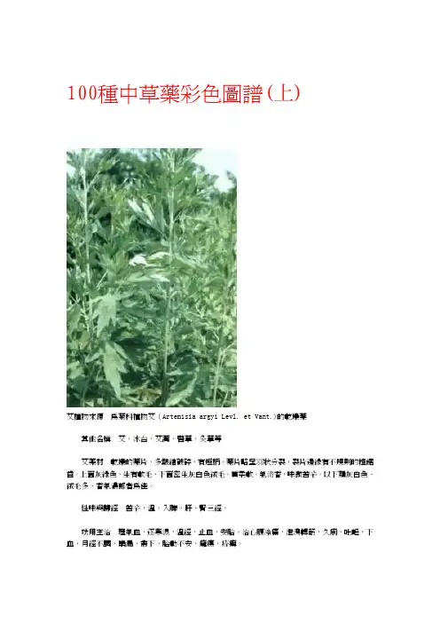 100种中草药彩色图谱上