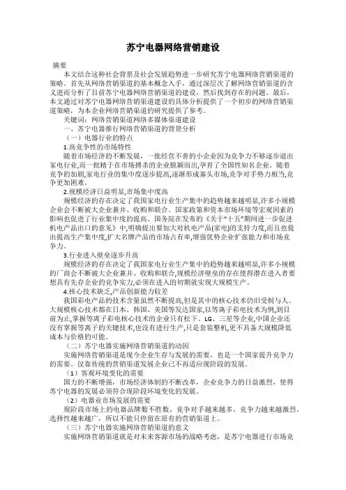 苏宁电器网络营销建设
