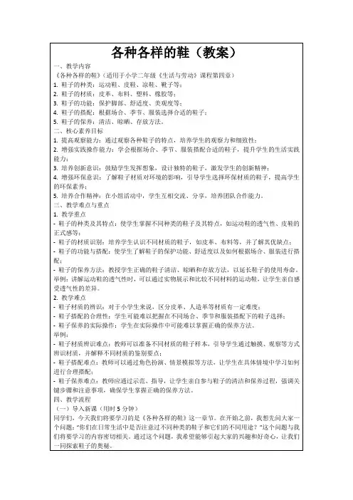 各种各样的鞋(教案)