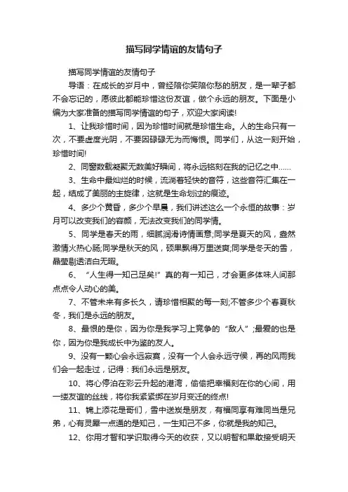 描写同学情谊的友情句子
