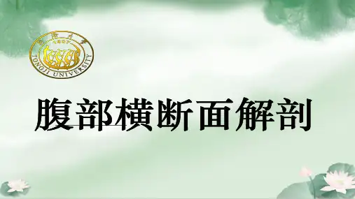 肝分段腹部横断面解剖与影像段对照