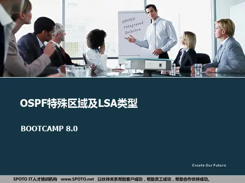 07 OSPF特殊区域及LSA类型