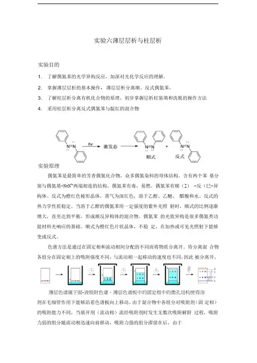 实验六：薄层层析与柱层析