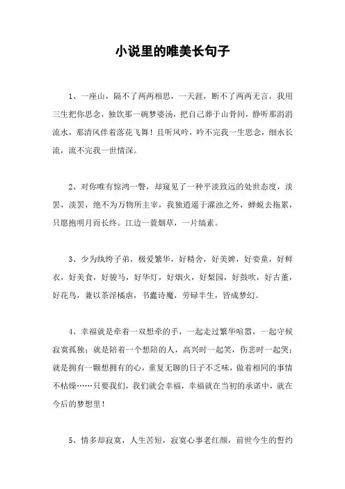 小说里的唯美长句子
