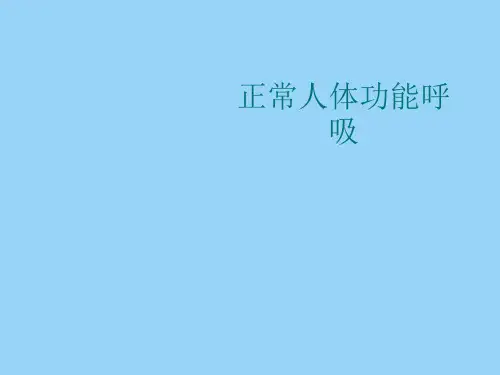 正常人体功能呼吸
