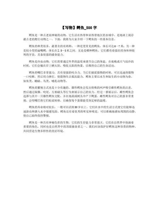 【写物】鳄鱼_500字