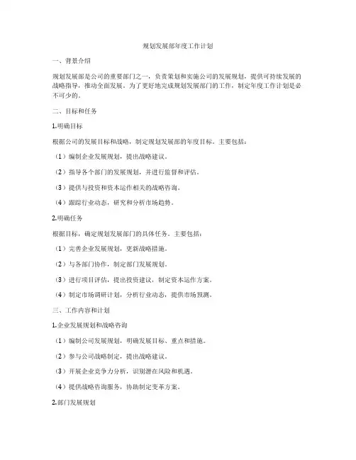 规划发展部年度工作计划