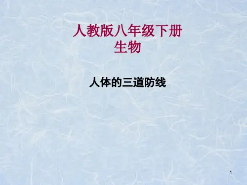 人体三道防线
