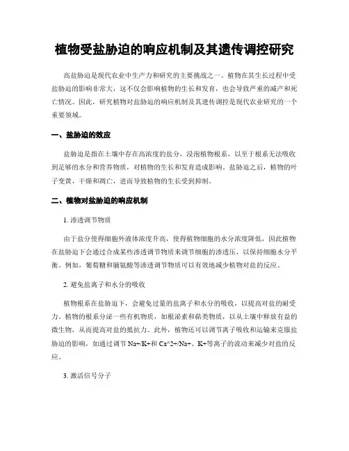 植物受盐胁迫的响应机制及其遗传调控研究