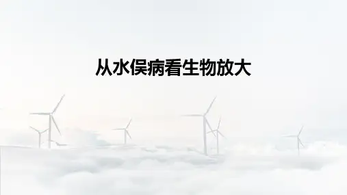 水俣病是怎么回事？.pptx