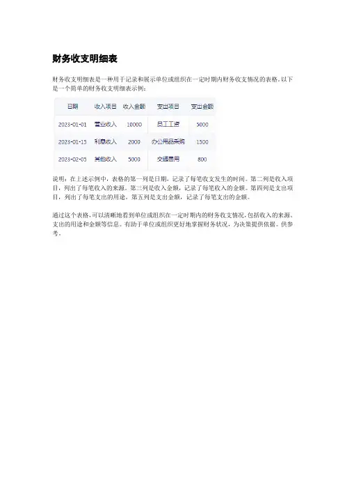 财务收支明细表