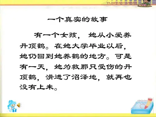 《燕子专列》ppt课件(2篇)