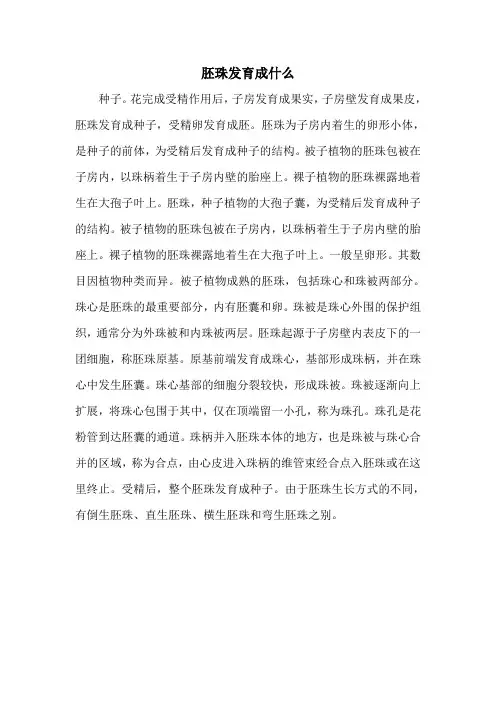 胚珠发育成什么