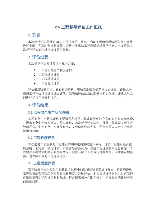 316工程督导评估工作汇报