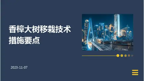 香樟大树移栽技术措施要点