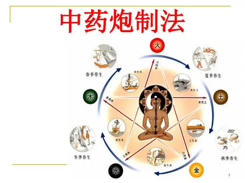 中药炮制的方法ppt课件
