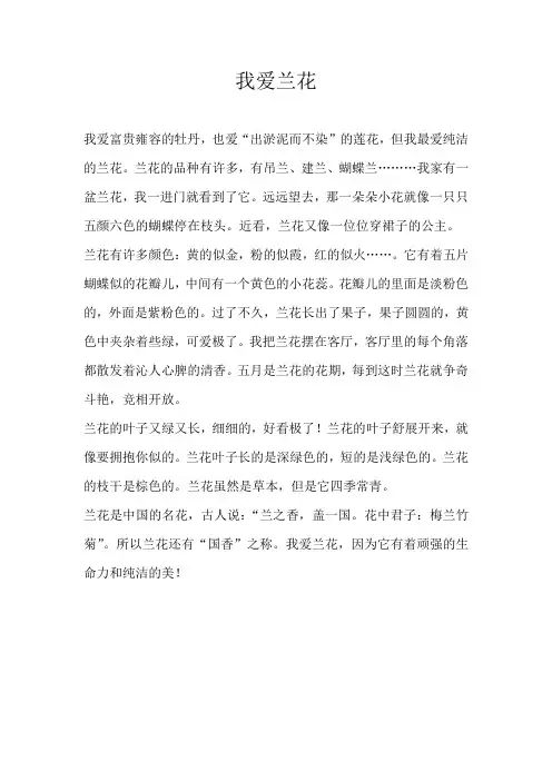 四年级状物我爱兰花