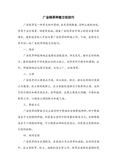 广金钱草种植方法技巧