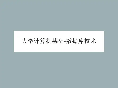 大学计算机基础-数据库技术