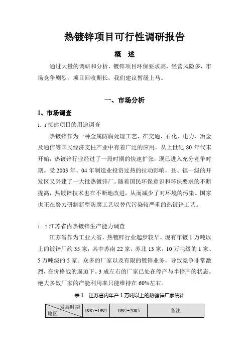 热镀锌项目可行性报告 (精品)