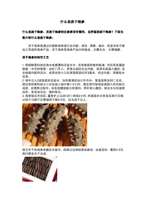 什么是淡干海参