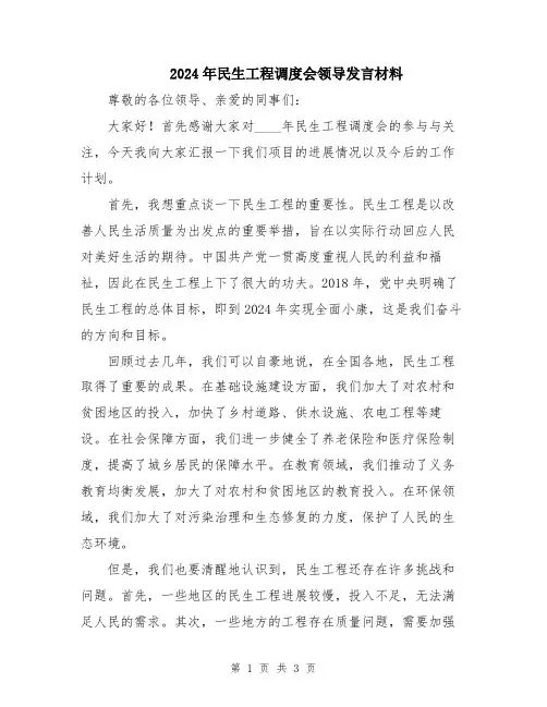 2024年民生工程调度会领导发言材料