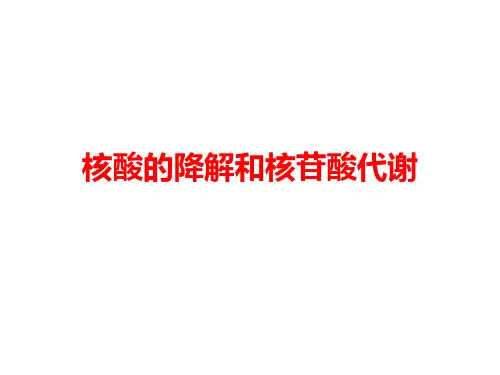 核酸的降解和核苷酸代谢