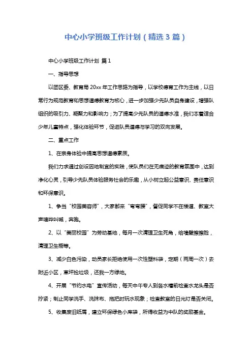 中心小学班级工作计划(精选3篇)