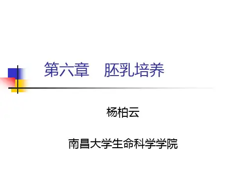 第六章：胚乳培养