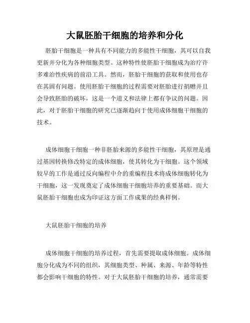 大鼠胚胎干细胞的培养和分化