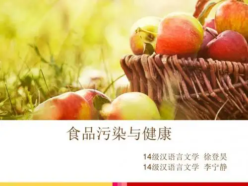 食品污染与健康